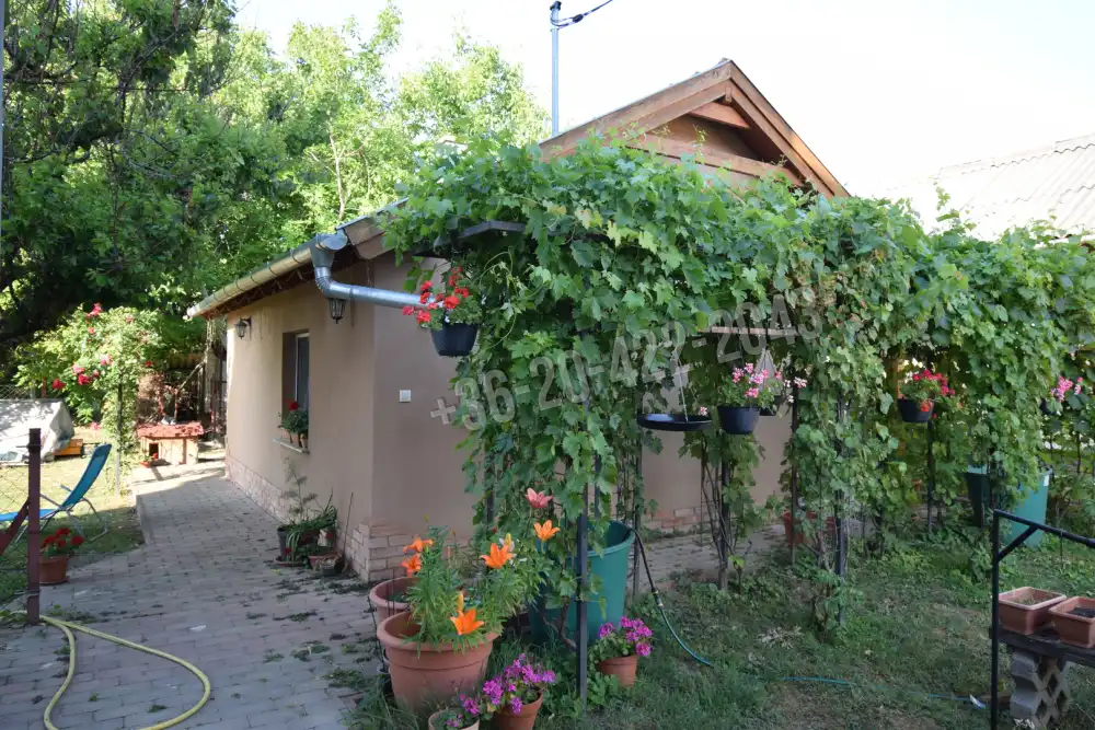 Pest megye - Szigethalom