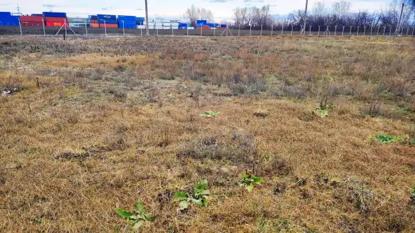 Eladó Ipari telek, Dunaharaszti 10000 m² 279 M Ft