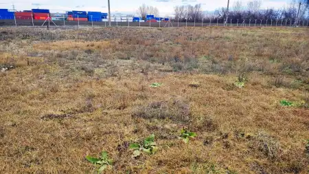 Eladó telek, Dunaharaszti 10000 m² 279 M Ft